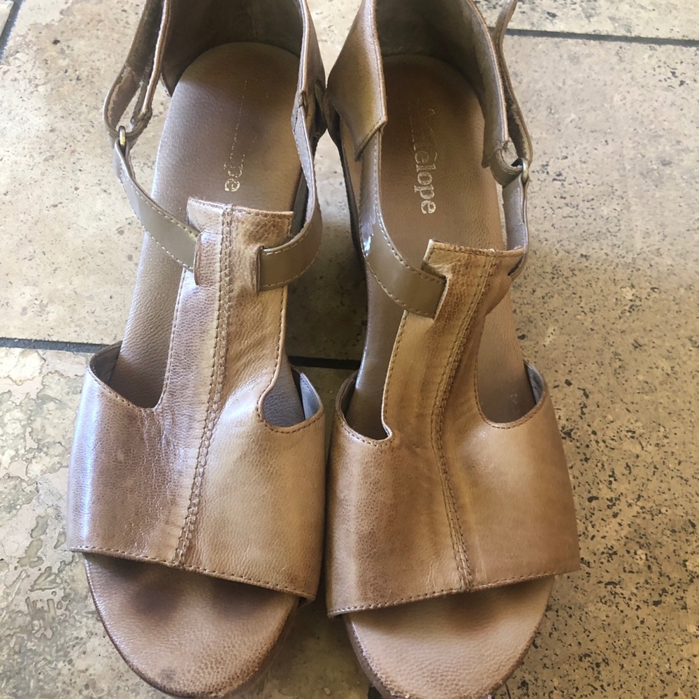 Antelope wedges